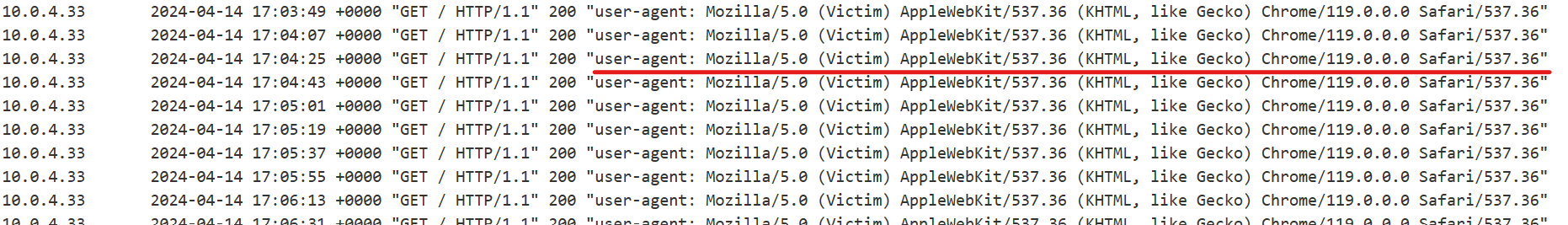 Victim User Agent